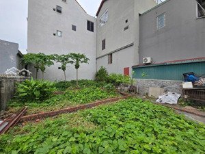 xuân đỗ 2,6tỷ 33m2 đất trong đê - nở hậu - gần ngay khu phân lô xuân đỗ - trường - chợ
