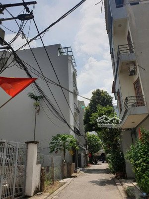 mảnh đất đẹp ô tô tránh phố kẻ tạnh, giang biên 65m, mt 5m giá hơn 10 tỷ