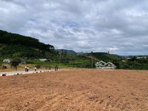 bán gấp lô đất ngang 15x30m tại nam ban, đường 8m, 240m2 thổ cư, sổ hồng riêng, giá 1,650 tỷ