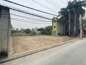 bán đất đẹp tại mỹ nội, bắc hồng, đông anh, hà nội, giá 45 tỷ, 285.2 m2/330,2m2, thổ cư ont.