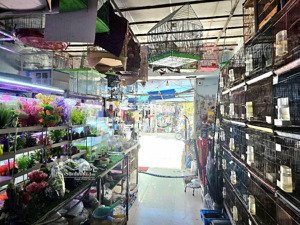 67m2x 4 tầng- mặt tiền đỗ xuân hợp q9 - dòng tiền ổn định 250tr/ năm giá chỉ 9 tỷ(tl)
