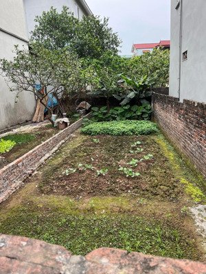 cực hiếm: đất liên mạc thửa hoa hậu, gần sân chơi, mặt tiền rộng, giá chỉ 6 tỷ