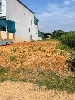 đất chính chủ thuộc xã hà lộc, thị xã phú thọ, liền thổ, đường ô tô, sát khu cn phú hà, 172.4m2