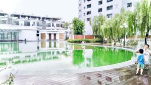 PHÂN LÔ LIỀN KỀ EDEN ROSA, KIM GIANG- THANH LIỆT, 83 M2, MẶT TIỀN 5M, GIÁ 20 TỶ.