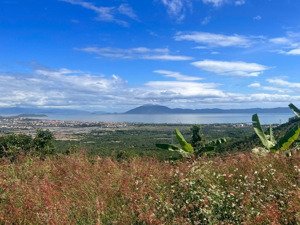bán đất rừng view biển ninh diêm, ninh hòa diện tích: 2,6ha