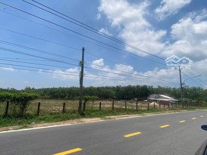 sang gấp đất 2 mt dt 749 minh thạnh hồ chí minh 2500m2 thổ cư chỉ hơn 1tr/m2