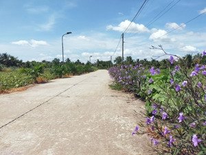bán đất huỳnh văn đảnh, 380 triệu, 120m2, ngõ 4m đẹp xuất sắc