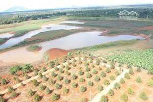 bán vườn sầu riêng view hồ suối rang - cơ hội đầu tư lý tưởng