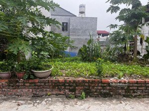 nằm giữa cum 3kcn đông bài -mai đình đầu tư đẹp lô góc