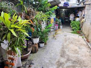 Bán nhà mặt đường 279 tp Điện Biên