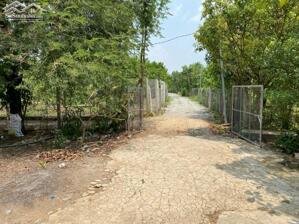 BÁN VƯỜN TRÁI CÂY VIEW HỒ SUỐI - CƠ HỘI ĐẦU TƯ LÝ TƯỞNG