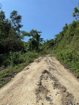 đất rừng khánh vĩnh giá 850 triệu cho 2,2ha