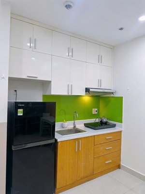 cho thuê căn hộ sunrise city khu north, full nội thất, chỉ 11 triệu/tháng