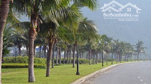 giảm 5 tỷ! bán đất 1075m - 119,95 tỷ - mt hoàng sa - q. sơn trà