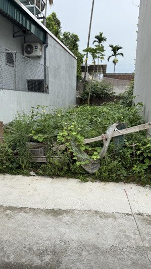 nhỉnh 3 tỷ có ngay lô đất 43m2 dục tú, đông anh, hà nội diện tích: 43m², đất vuông vắn