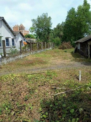 bán đất dt 140m2 đường tập đoàn 2, tân kim, cần giuộc, kế kcn tân kim giá 700