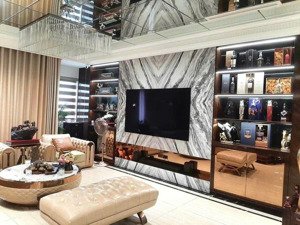 bán nhà phố hồng tiến, dt 45m2 * mt 5.2m * lô góc 7 tầng thang máy, gần trường wellspring