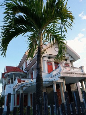 cần tiền bán biệt thự nghỉ dưỡng 1000m2 gần biển mỹ quang nam - an chấn - tuy an - sân vườn rộng