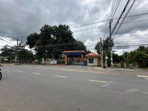 cô em bán miếng đất ở tphcm đối diện trường tiểu học . đường nhựa thông , shr