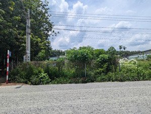 bán đất bình dương (phường bến cát hồ chí minh)