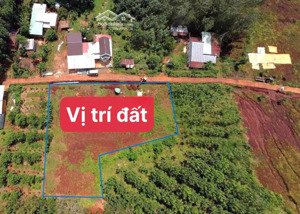 đất nhà chính chủ bán 640m2 tc sổ riêng an khương hớn quản bình phước có 4 sổ liền kề chỉ 235 triệu