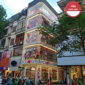 cho thuê mbkd vũ ngọc phan, mặt tiền 14m, t1-180m², t2-140m², t4-5-250m², phù hợp nhiều mô hình