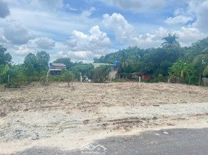 chính chủ bán gấp lô đất mặt tiền đường nhựa 231m2 xã phước hiệp, củ chi, shr, 1,65 tỷ.