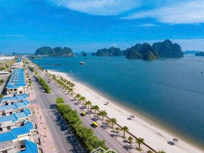 em cần bán 1 căn nhà vincom 75m2 đất xây dựng 4 tầng 286m2 xd nằm trong khu trung tâm thành phố