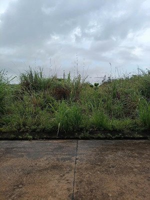 cơ hội vàng sở hữu đất biệt thự duy nhất tại kđt đoàn kết, vân đồn, quảng ninh đầu tư sinh lời luôn