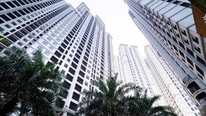 siêu nóng! chỉ với số vốn 800 triệu có ngay dòng tiền đều 8,5 tr/tháng - hỗ trợ vay ngân hàng 0%