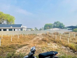 đất phường phú an thành phố hồ chí minh sát trường học cấp 1 sổ sẵn thổ cư 100m