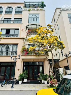 chủ nhà cần bán sb11-48 căn khe thoáng, diện tích 97,5m2 giá 11,2 tỷ gần công viên trung tâm.