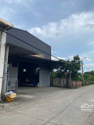 chính chủ bán lô đất 671m2, 300m đất ở sẵn nhà xưởng đang cho thuê 18tr/tháng thanh mỹ 5,x tỷ