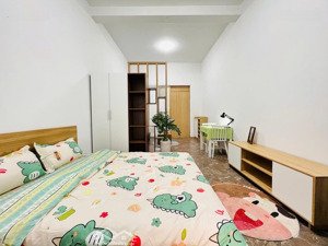cho thuê căn hộ mini 30m2 full nội thất thảo điền quận 2. hình thật, giá thật.