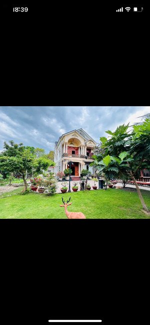 bán bt 1524m2, 24 triệu/m2 tm2, 24 triệu/m2 tại nguyễn văn thành, định hòa, thủ dầu một, bình dương