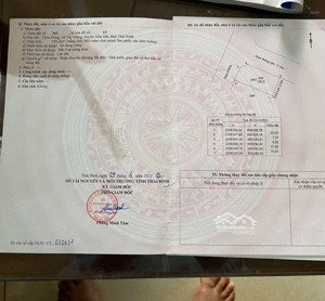 cơ hội vàng bán lô góc 3 mặt thoáng trung tâm tiền hải - hưng yên vị trí cực đẹp