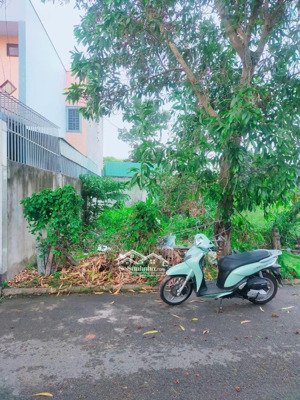 cần bán lô đất ở phường tương bình hiệp - tp. tdm 100m2 giá 1tỷ500, sổ hồng riêng, bao sang tên
