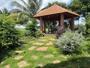 bán nhà vườn đẹp tại đá bạc, châu đức 800m² 2 mặt tiền đường nhựa giá