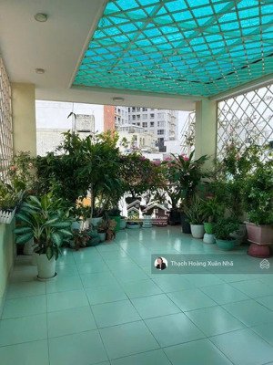 vị trí kinh doanh - mặt tiền khu trần quang diệu - lê quý đôn, q3 - 4m x 12m - 5 tầng - chỉ 14,5 tỷ