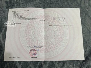 chính chủ bán lô đất view biển quất lâm nam định, tiềm năng tăng giá x2, x3