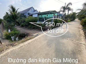 bán 5267.5m2 đất ấp 9 - lương hoà - bến lức. đất cây hàng năm khác