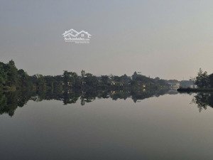 siêu phẩm f0 bám hồ tự nhiên, chân đạp nước ba vì, hà nội
