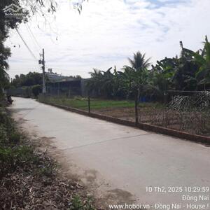 BÁN ĐẤT PHÚ HỮU NHƠN TRẠCH ĐƯỜNG THÀNH HOÀ