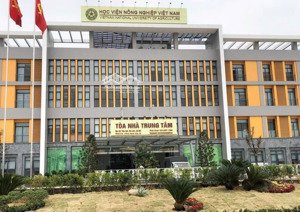 3,5 tỷ - 65m đất trâu quỳ gia lâm, gần cầu vĩnh tuy, aeon mall, đại học nông nghiệp