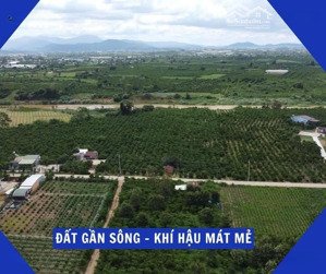 đất nền sẵn sổ sẵn thổ cư giá tốt tại đinh văn lâm hà