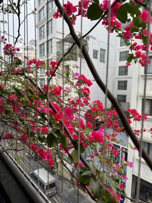 siêu hiếm - mặt phố - vỉa hè rộng - kd sầm uất - nở hậu - thế đất vượng khí - ở cực lộc - giữ tiền