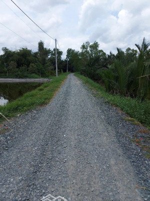 bán 1000m2 mặt tiền sông vàm cỏ tây