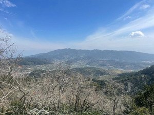 đà lạt 2000m² xuân trường: săn mây đồi chè, ô tô tới đất, giá 2.2 tỷ