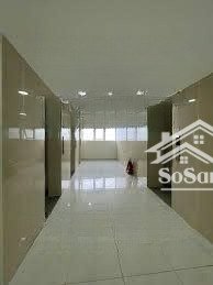 cho thuê 4.2tr, 20m2, cao lỗ q8 - topaz elite - đối diện đh công nghệ sg (stu)/ cao đẳng bách khoa