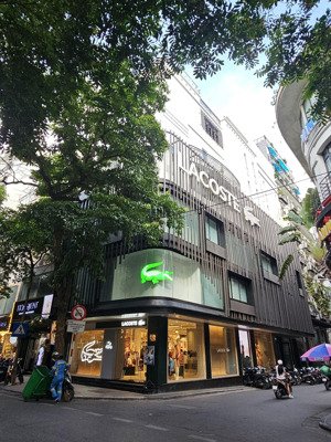 showroom đẳng cấp 2 sàn 350m2 mặt phố chùa bộc mặt bằng cực rộng 10m. riêng biệt